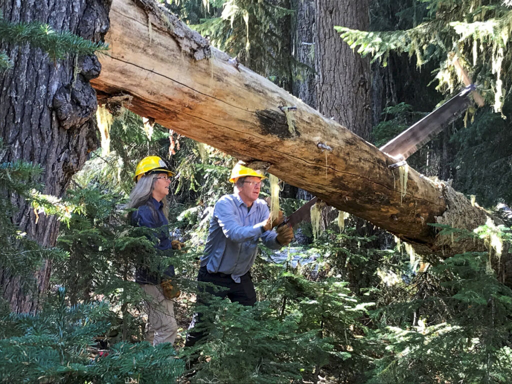 two people with a saw cutting a log over a trail