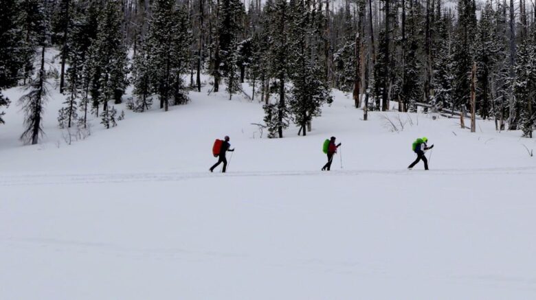 three people skiing through a field with the forest in the background