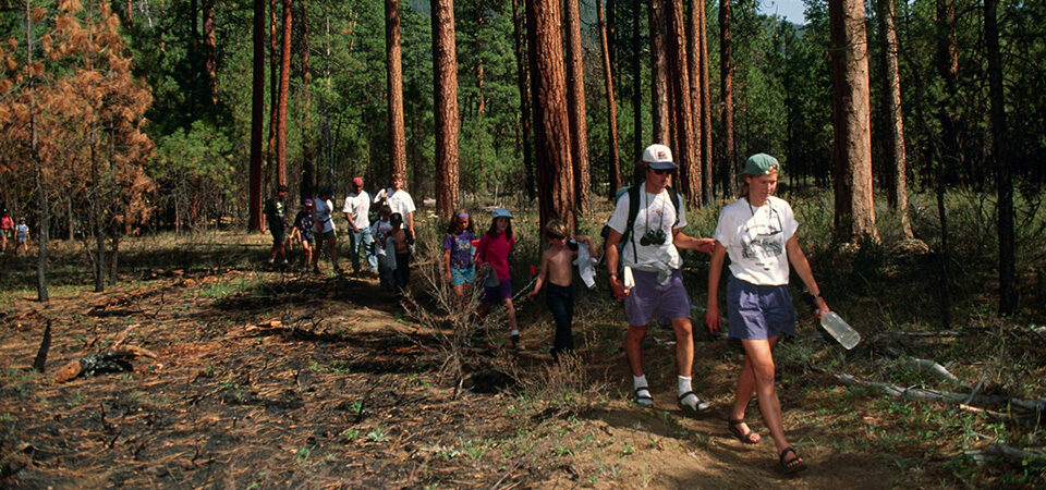 Adults and children walking through a trail in the forest